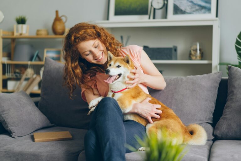 The Pet-Friendly Standard: Elevating Your Home’s Hygiene pexels silverkblack 20883966