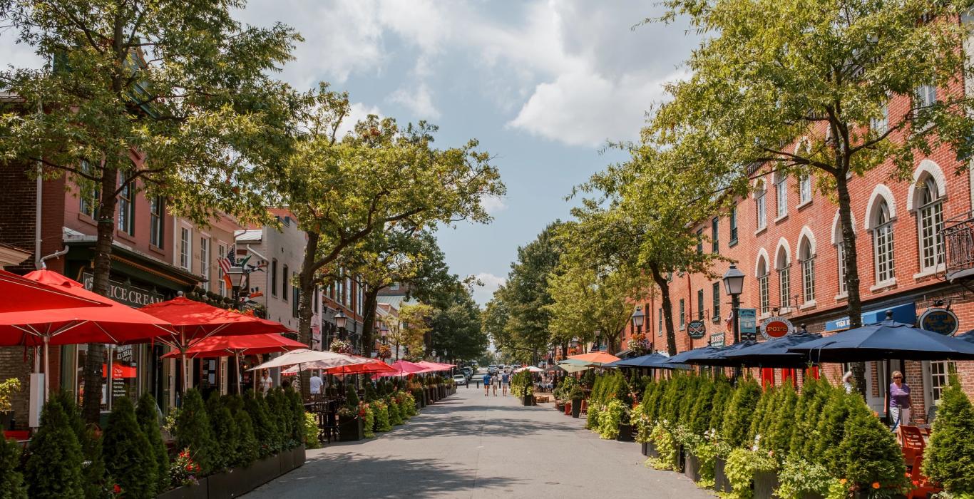 Alexandriava